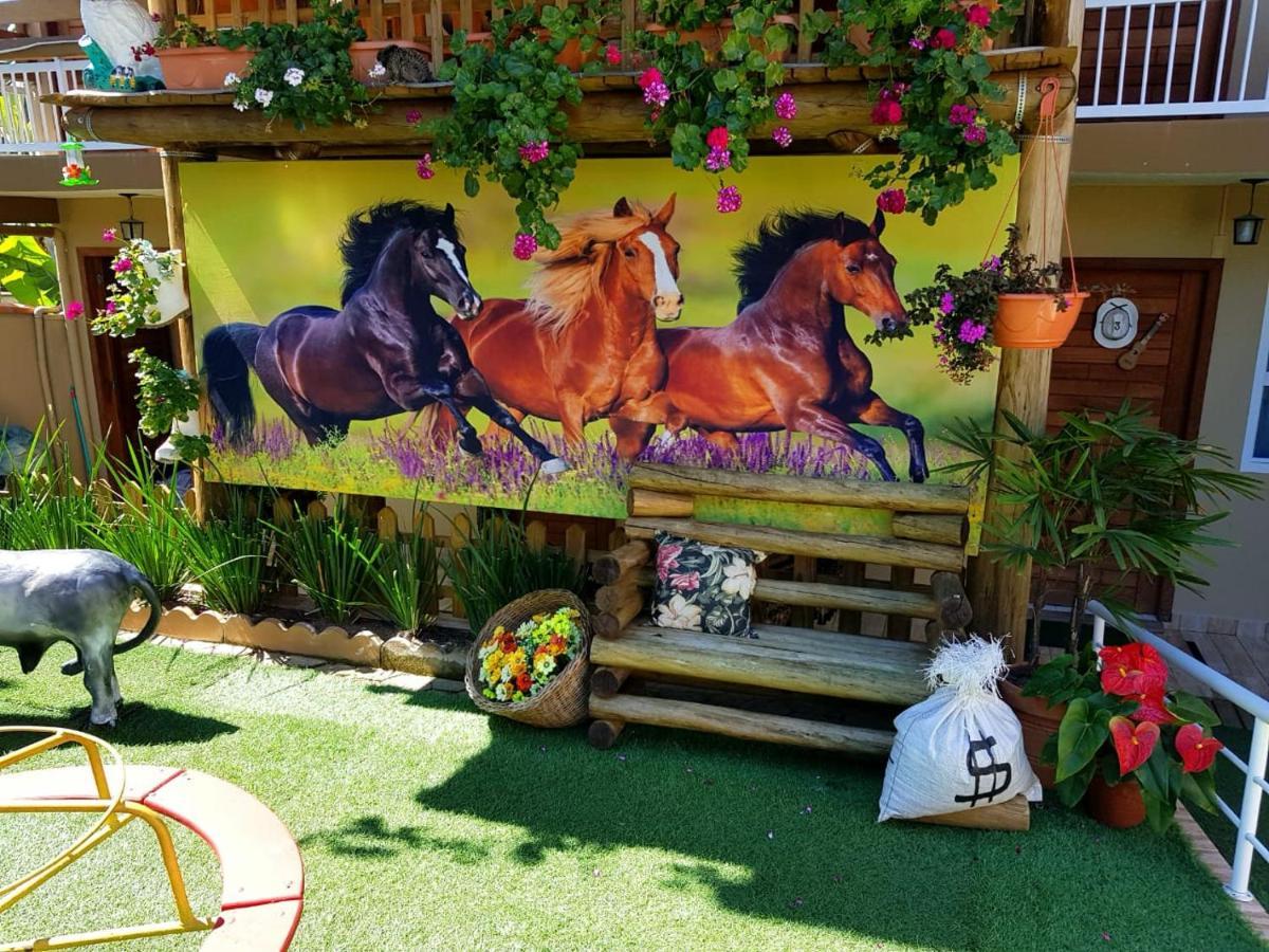 Pousada Alegria Do Cowboy 페냐 외부 사진